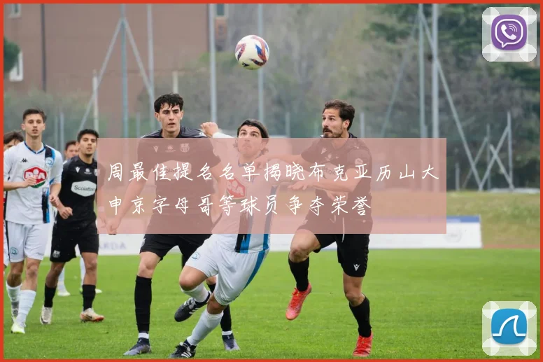 周最佳提名名单揭晓布克亚历山大申京字母哥等球员争夺荣誉