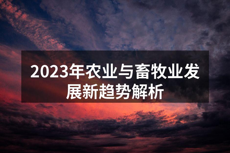 智能农业技术提升生产力