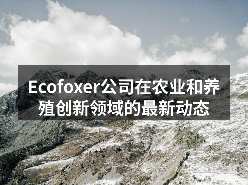 Ecofoxer新产品发布会现场