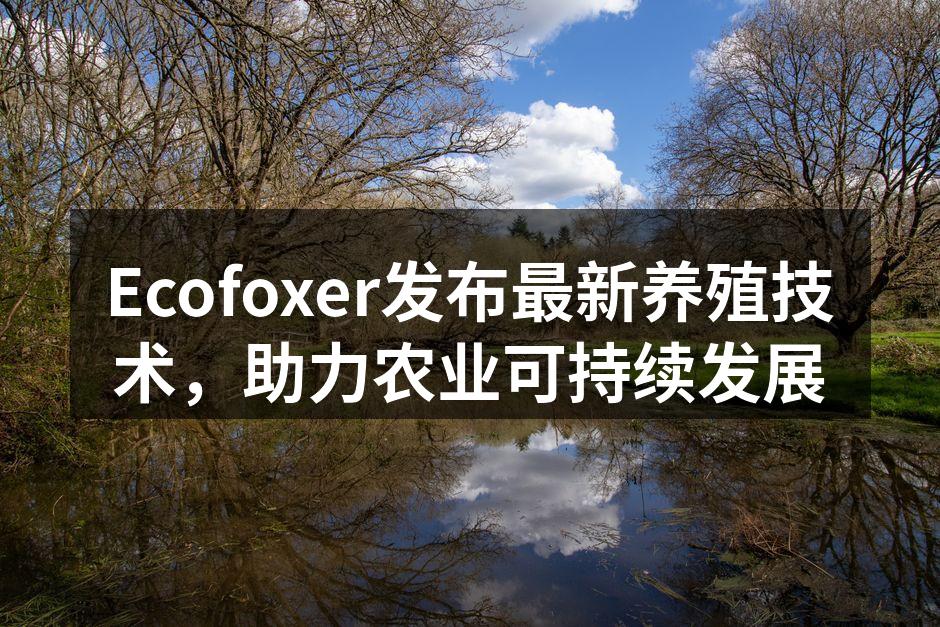 Ecofoxer新技术展示