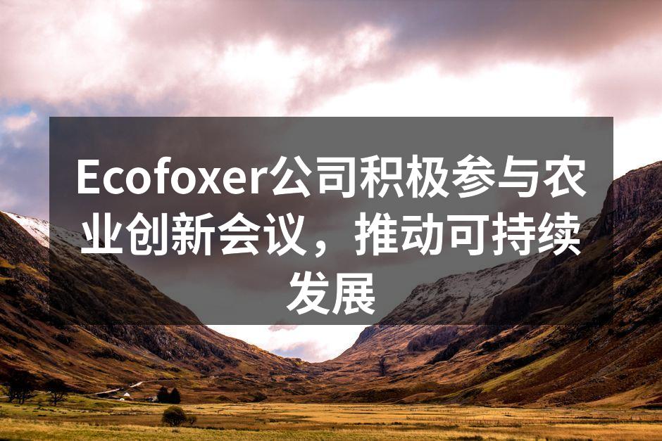 Ecofoxer公司代表在会议上发言